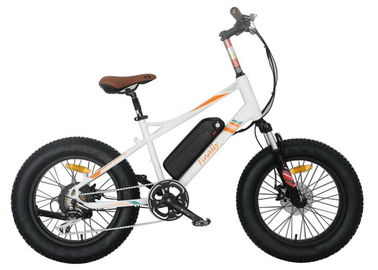 아이 가득 차있는 중단 뚱뚱한 타이어 전기 자전거 리튬 전지 7 속도 장치