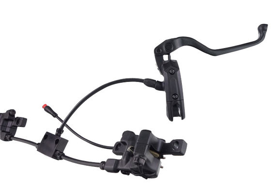 주문을 받아서 만들어진 전기 자전거는 전기 세발자전거를 위한 짧은 잎 디자인을 절약합니다